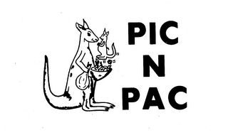 PIC N PAC logo