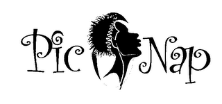 PIC NAP logo