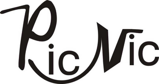 PIC NIC logo