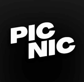 PIC NIC logo
