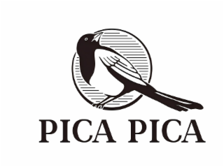 PICA PICA logo