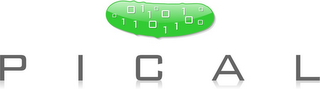 PICAL 011001001101100 logo