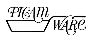 PICAM WARE logo