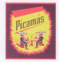 PICAMÁS logo