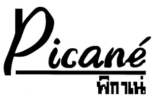 PICANE logo