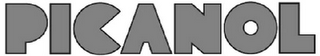 PICANOL logo