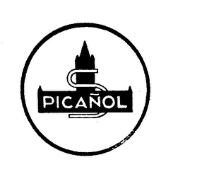 PICANOL S logo