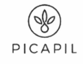 PICAPIL logo