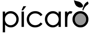 PICARO logo