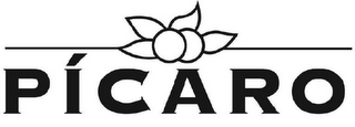 PICARO logo