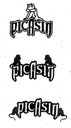 PICASIN logo