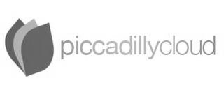 PICCADILLYCLOUD logo
