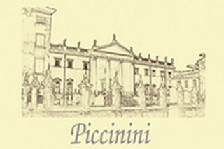 PICCININI logo