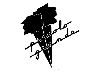 PICCOLO GRANDE logo
