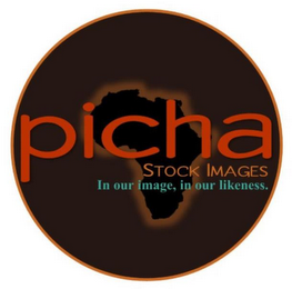 PICHA STOCK IMAGES IN OUR IMAGE, IN OURLIKENESS logo