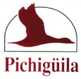 PICHIGÜILA logo
