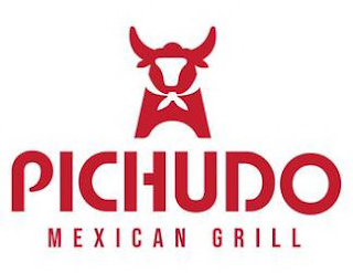 PICHUDO MEXICAN GRILL logo
