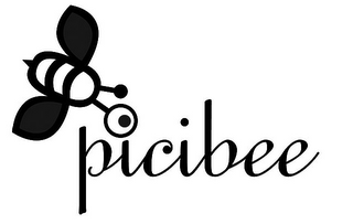 PICIBEE logo