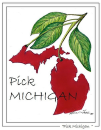 PICK MICHIGAN "PICK MICHIGAN" SUE TOCK logo