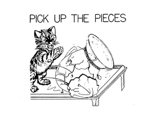 PICK UP THE PIECES