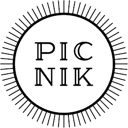 PICNIK logo