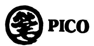 PICO logo