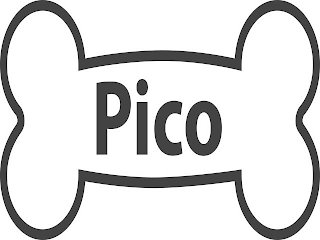 PICO logo