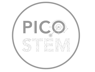 PICO STEM logo