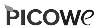 PICOWE logo