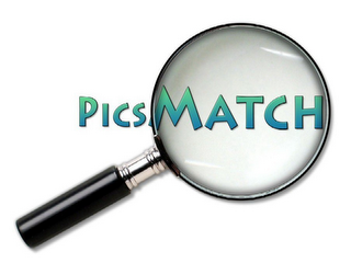 PICSMATCH logo