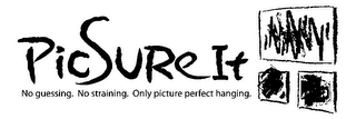 PICSURE IT NO GUESSING. NO STRAINING. ONLY PICTURE PERFECT HANGING. logo