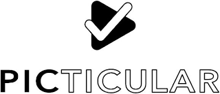 PICTICULAR logo