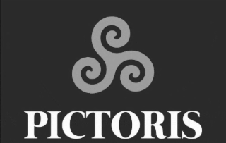 PICTORIS logo
