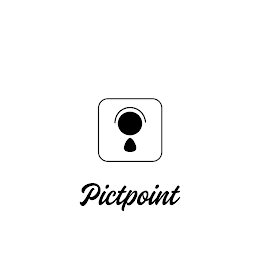 PICTPOINT logo
