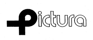 PICTURA logo