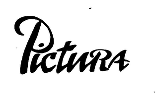 PICTURA logo