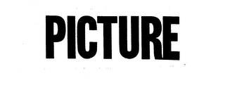 PICTURE logo