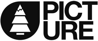 PICTURE logo
