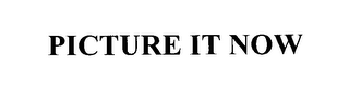 PICTURE IT NOW logo
