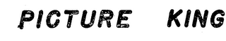 PICTURE KING logo
