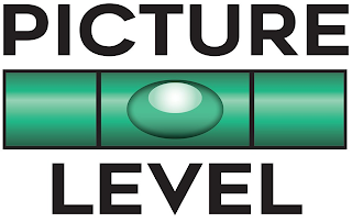 PICTURE LEVEL logo