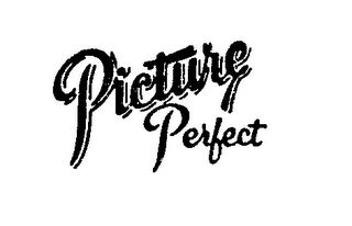 PICTURE PERFECT logo