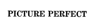 PICTURE PERFECT logo