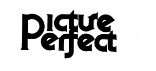 PICTURE PERFECT logo