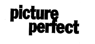 PICTURE PERFECT logo