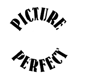 PICTURE PERFECT logo