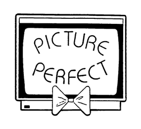 PICTURE PERFECT logo
