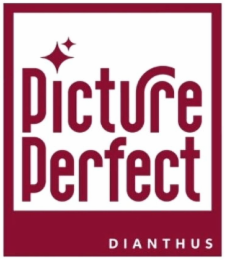 PICTURE PERFECT DIANTHUS logo