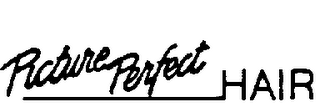 PICTURE PERFECT HAIR logo