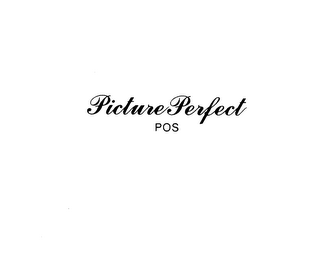 PICTURE PERFECT POS logo